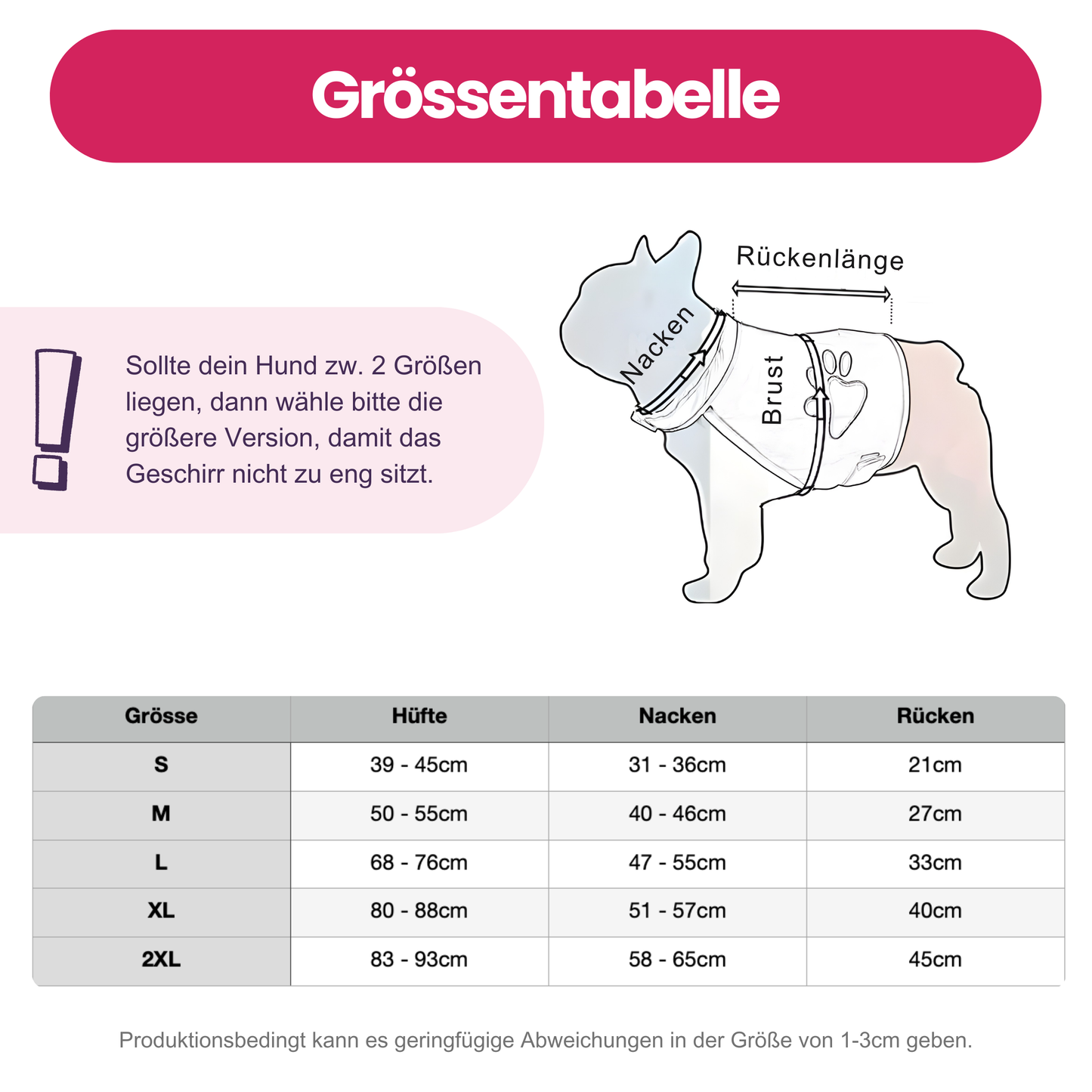 Reflektierende Hundeweste – Hohe Sichtbarkeit für sichere Spaziergänge