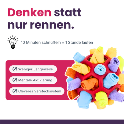 Schnüffelball für Hunde – Intelligentes Nasenspiel mit versteckten Leckerlis