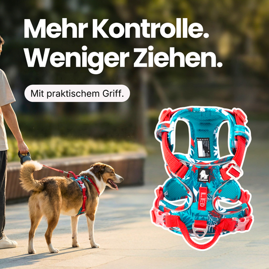 Anti-Zieh Hundegeschirr mit Kontrollgriff – Komfort & sichere Kontrolle