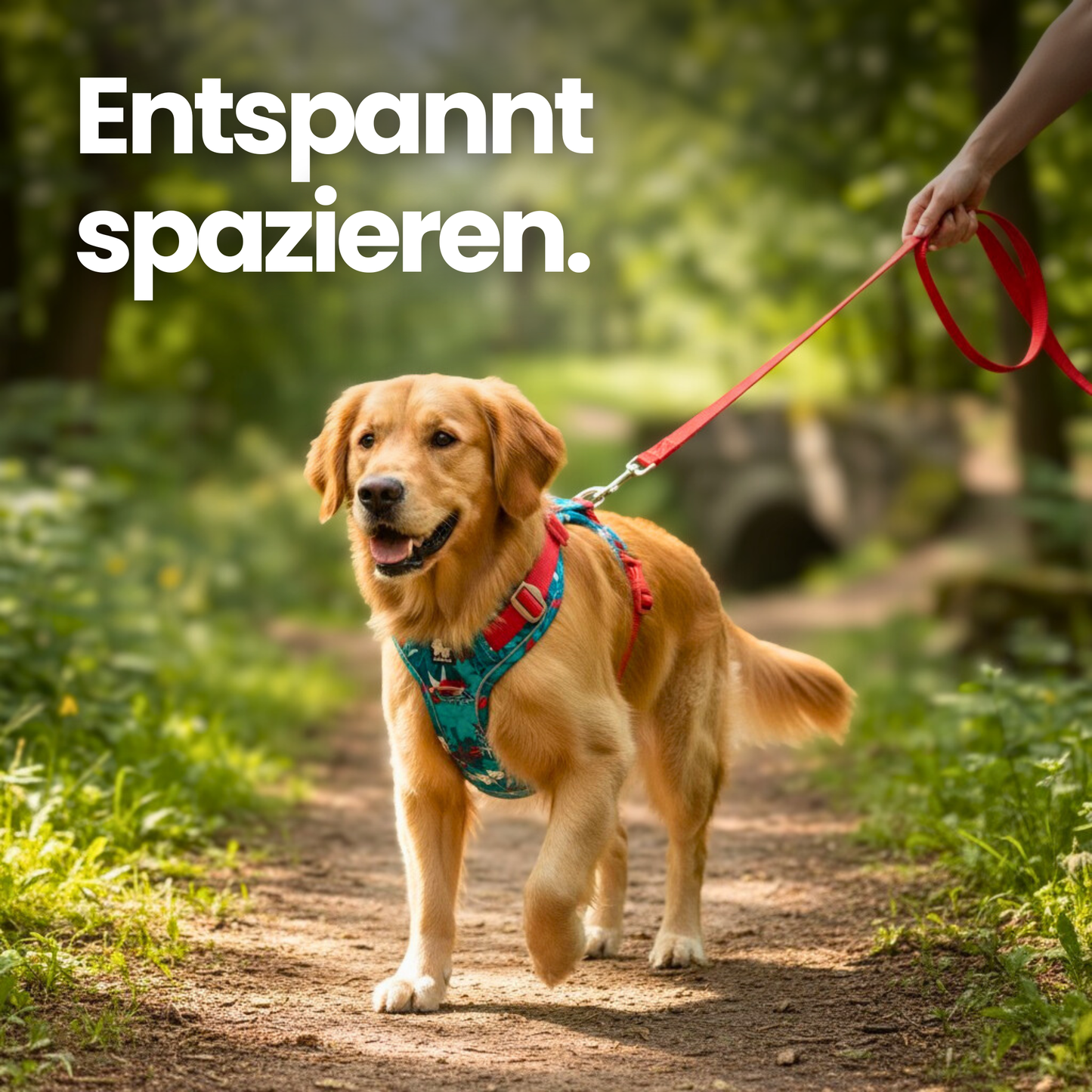 Anti-Zieh Hundegeschirr mit Kontrollgriff – Komfort & sichere Kontrolle